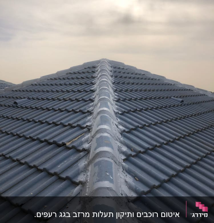 גג רעפים כחול עם קו חיבור מרכזי